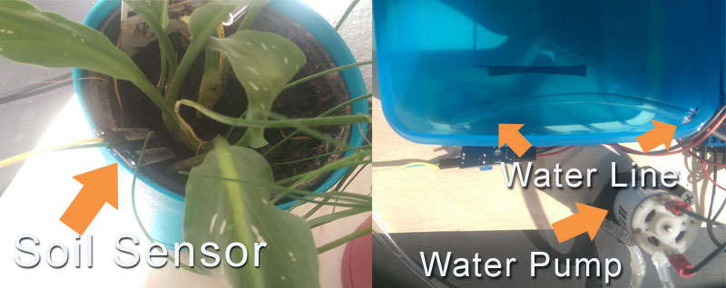 Raspberry Pi Water Pump
